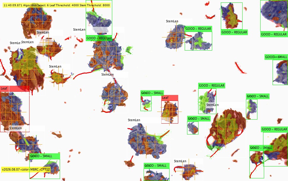 A crowded live image. Labelled boxes overlap each other and several flowers sit inside shared boxes.