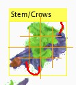 A flower with a visible stem, labelled Stem/Crows.